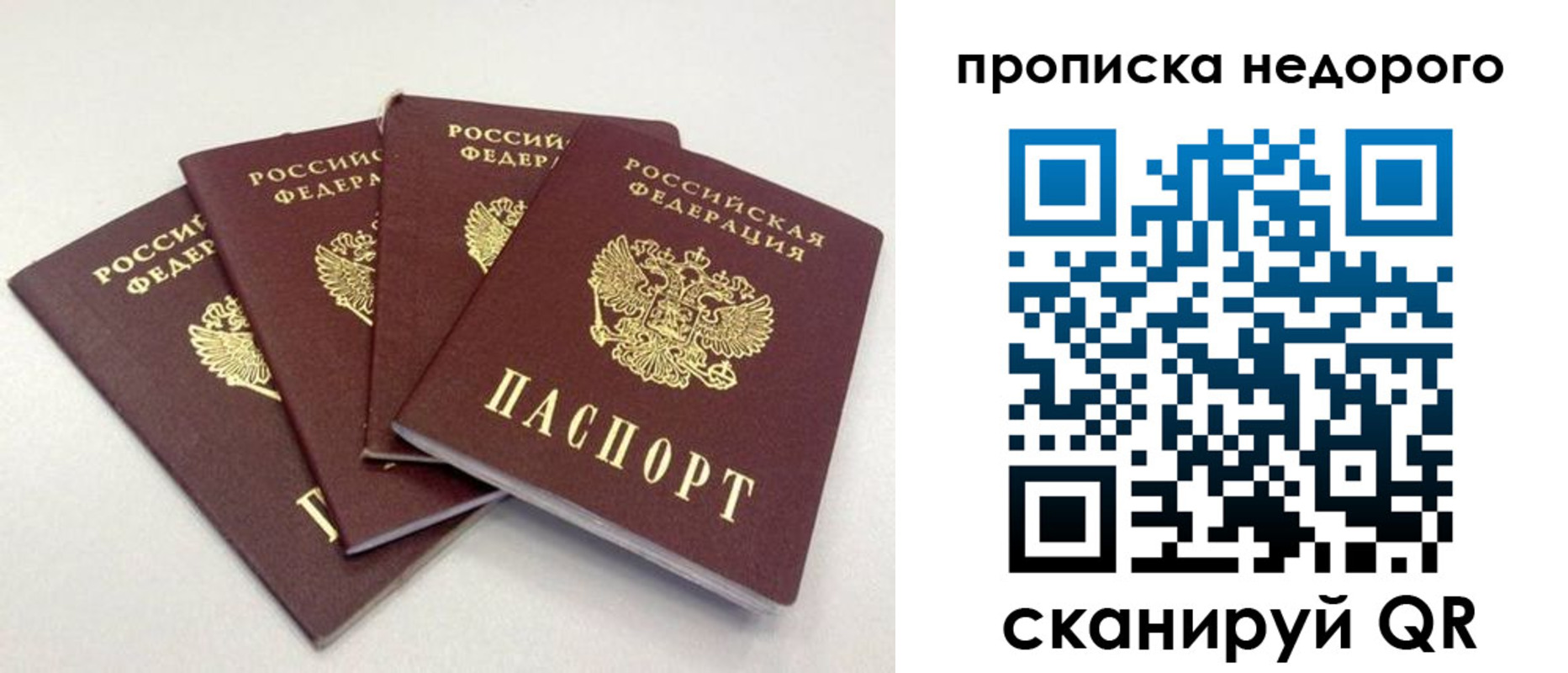 прописка законно в Бологом